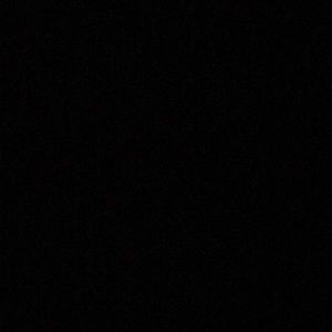 Meet your Posher, Charlotte